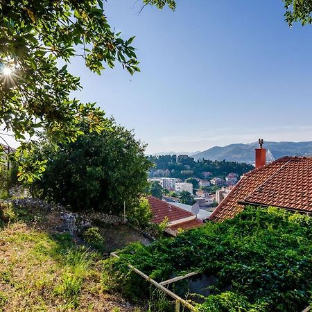 Apartment Amigo Dubrovnik Exteriör bild