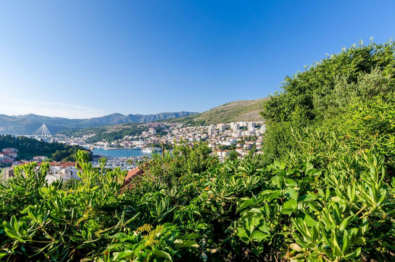 Apartment Amigo Dubrovnik Exteriör bild